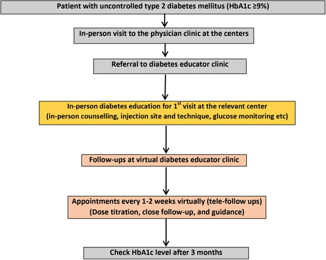 A Hybrid Model of In-Person and Telemedicine Diabetes Education and Care for Management of Patients with Uncontrolled Type 2 Diabetes Mellitus: Findings and Implications from a Multicenter Prospective Study.