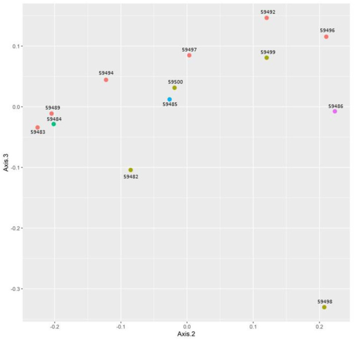Metagenomic analysis of fecal samples in colorectal cancer Egyptians patients post colectomy: A pilot study.