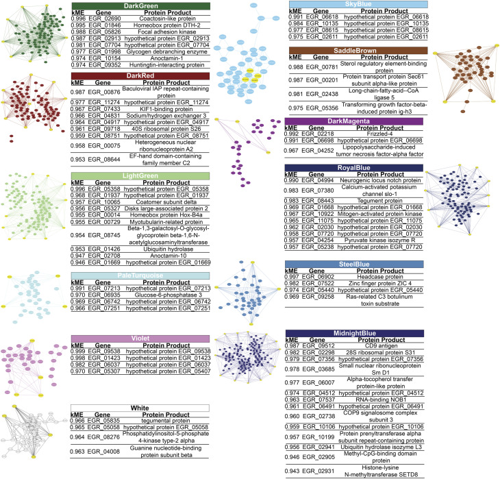 Weighted gene co-expression network analysis reveals immune evasion related genes in <i>Echinococcus granulosus</i> sensu stricto.