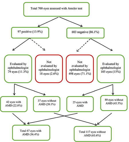 Using the Amsler Grid Test for Age-Related Macular Degeneration Screening.