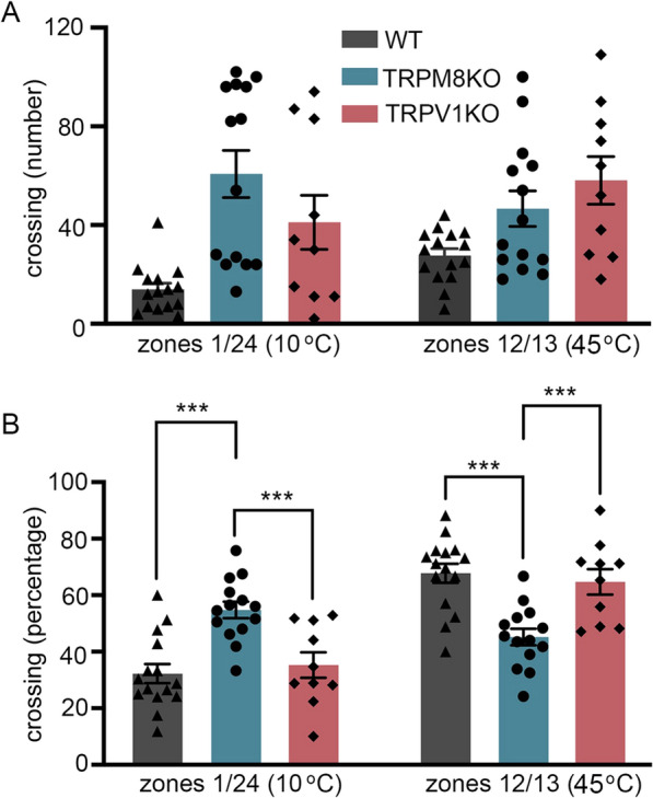 Thermal gradient ring for analysis of temperature-dependent behaviors involving TRP channels in mice.