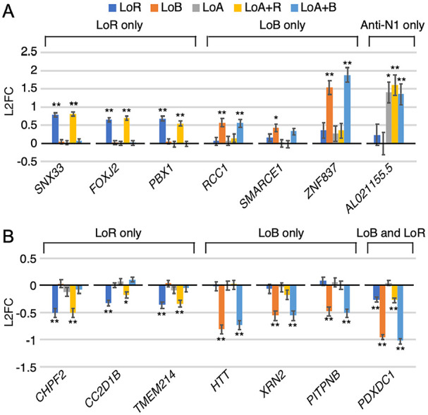 Synergistic Effect of an Antisense Oligonucleotide and Small Molecule on Splicing Correction of the Spinal Muscular Atrophy Gene.