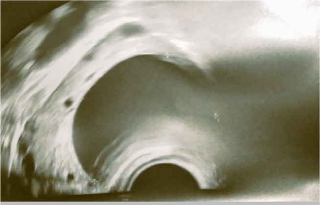 Abstract Image