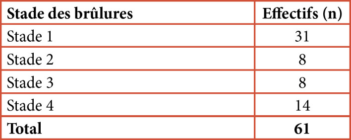 [Ocular burns: epidemiological, clinical, therapeutic and evolutionary aspects at the Cocody University Hospital, Côte d'Ivoire].