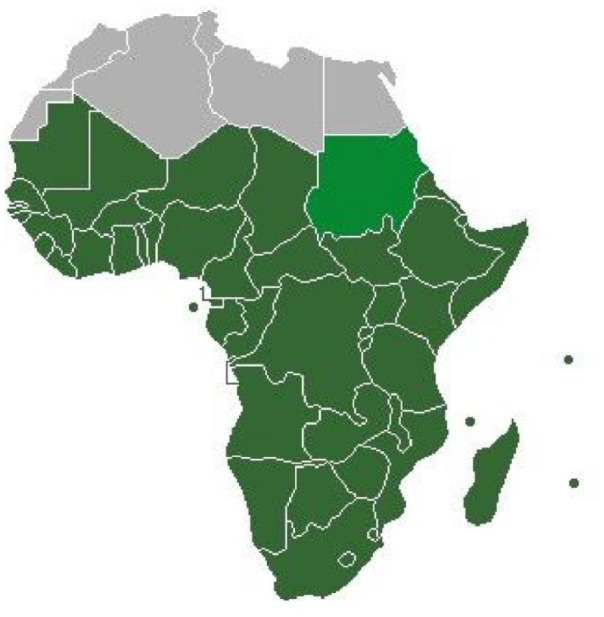 Insulin therapy among diabetic patients in rural communities of Sub-Saharan Africa: a perspective review.