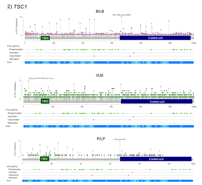 An overview of actionable and potentially actionable TSC1 and TSC2 germline variants in an online Database.