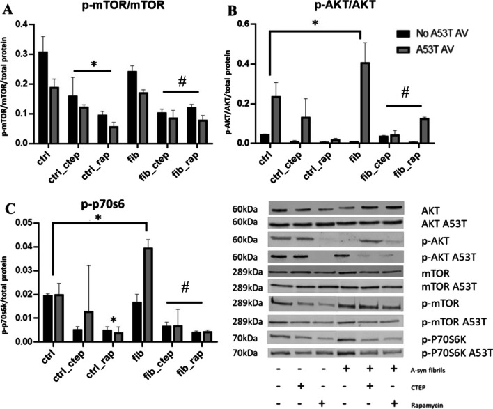 Abstract Image