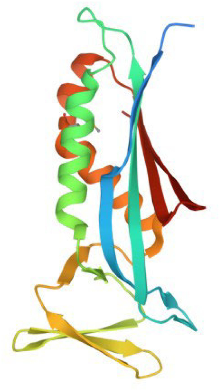 Abstract Image