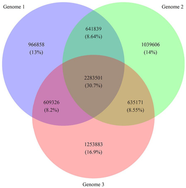 A Comprehensive Analysis of 3 Moroccan Genomes Revealed Contributions From Both African and European Ancestries.