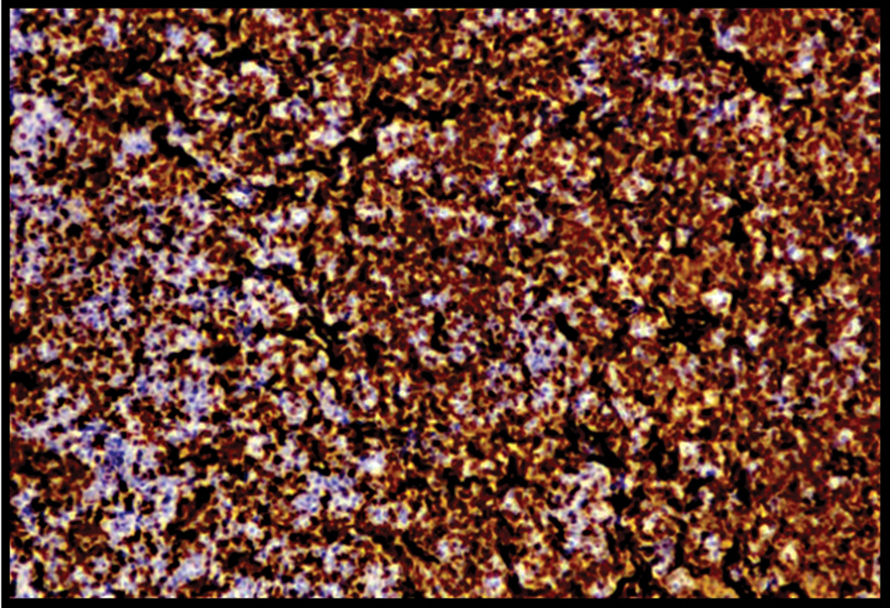 Abstract Image