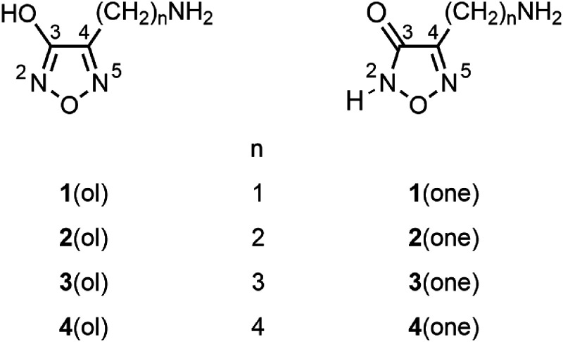 Intramolecular interactions and the neutral loss of ammonia from collisionally activated, protonated ω-aminoalkyl-3-hydroxyfurazans.
