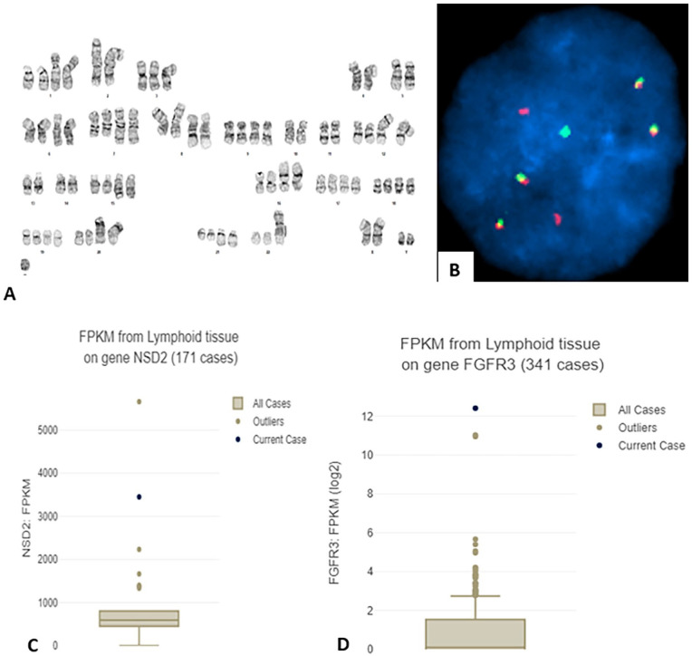 RNASeq Analysis for Accurate Identification of Fusion Partners in Tumor Specific Translocations Detected by Standard FISH Probes in Hematologic Malignancies.