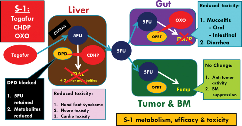 Practical Consensus Guidelines for the Use of S-1 in GI Malignancies.