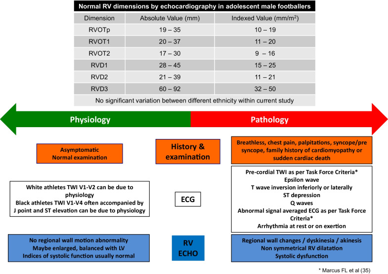 Right ventricular assessment of the adolescent footballer's heart.