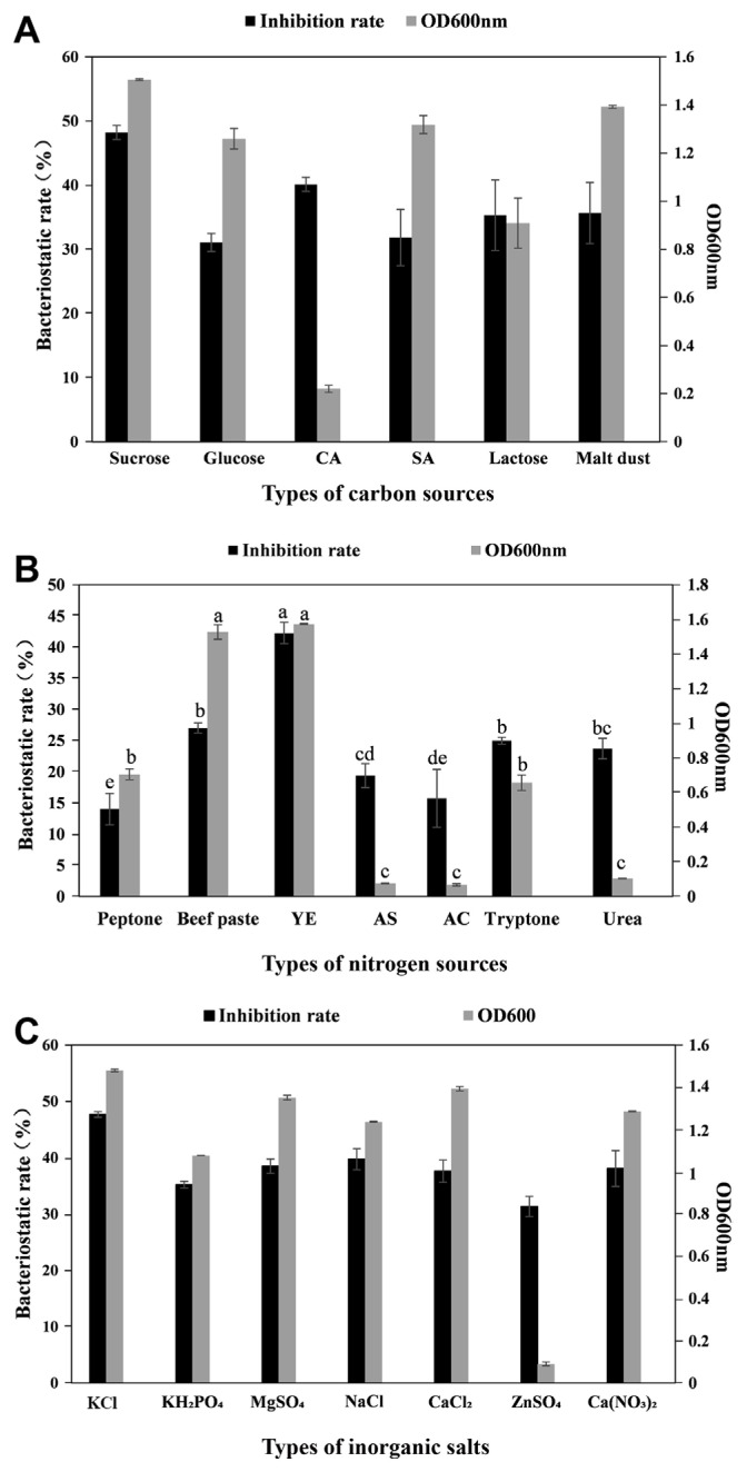 Screening of Antagonistic Bacillus against Brown Rot in Dendrocalamus latiflorus and Preparation of Applying Bacterial Suspension.