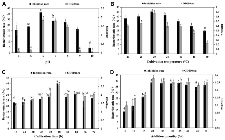 Screening of Antagonistic Bacillus against Brown Rot in Dendrocalamus latiflorus and Preparation of Applying Bacterial Suspension.