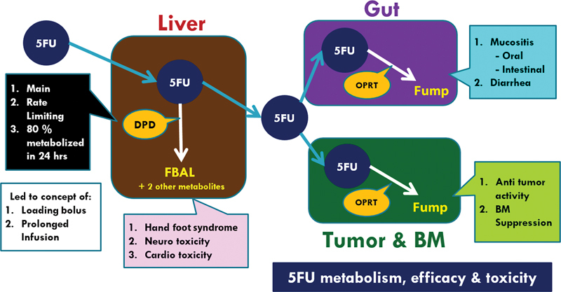 Practical Consensus Guidelines for the Use of S-1 in GI Malignancies.