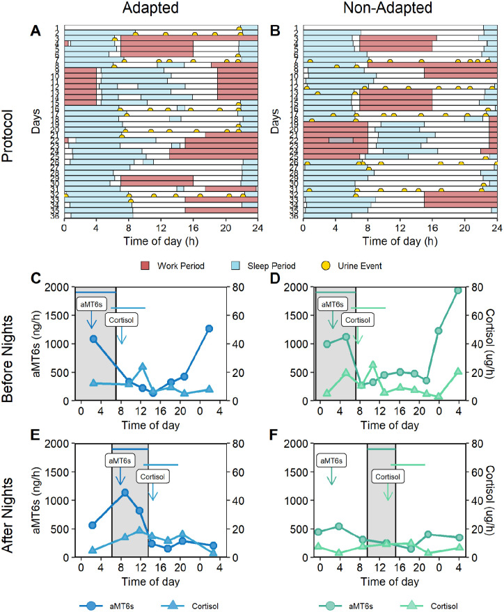 Circadian Adaptation of Melatonin and Cortisol in Police Officers Working Rotating Shifts.