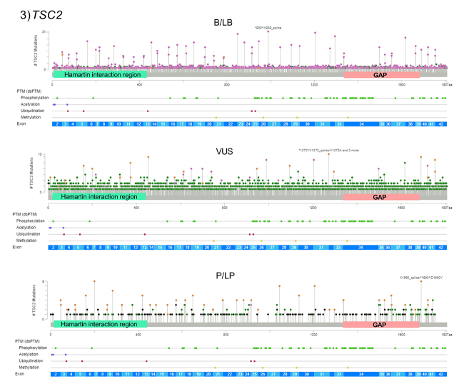 An overview of actionable and potentially actionable TSC1 and TSC2 germline variants in an online Database.