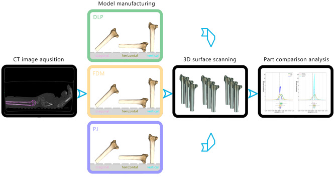 Dimensional accuracy and precision and surgeon perception of additively manufactured bone models: effect of manufacturing technology and part orientation.