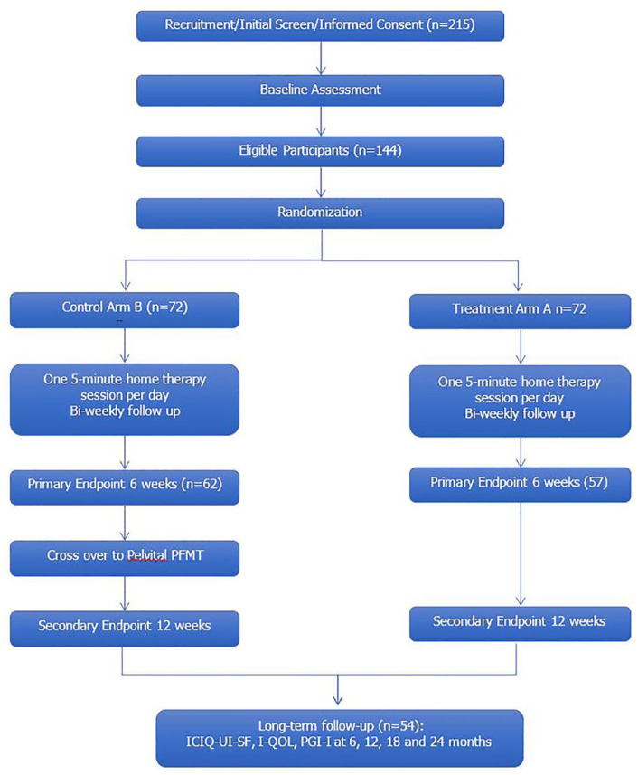 Randomized trial of mechanotherapy for the treatment of stress urinary incontinence in women.