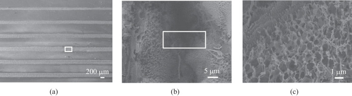 All laser direct writing process for temperature sensor based on graphene and silver.