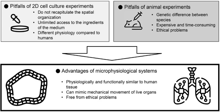 Lung Organoid on a Chip: A New Ensemble Model for Preclinical Studies.