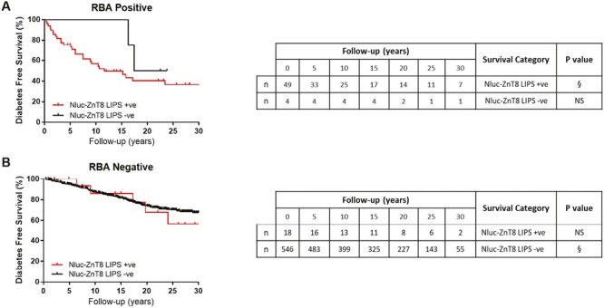A novel, high-performance, low-volume, rapid luciferase immunoprecipitation system (LIPS) assay to detect autoantibodies to zinc transporter 8.