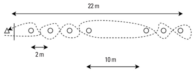 The effects of proprioceptive exercise training on physical fitness and performance of soccer skills in young soccer players.