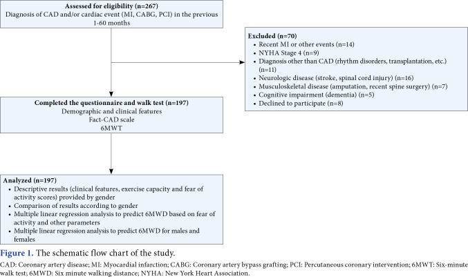 Does fear of activity predict exercise capacity in patients with coronary artery disease in both sexes? A cross-sectional multicenter study.