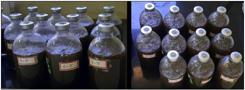 Study of helminth eggs ( <i>Ascaris suum)</i> inactivation by anaerobic digestion and electrochemical treatment.