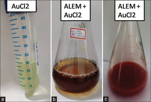 Anti-cancer effects of green synthesized gold nanoparticles using leaf extract of <i>Annona muricata</i>. L against squamous cell carcinoma cell line 15 through apoptotic pathway.