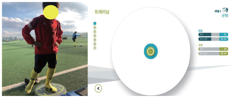 The effects of proprioceptive exercise training on physical fitness and performance of soccer skills in young soccer players.
