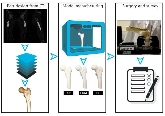 Dimensional accuracy and precision and surgeon perception of additively manufactured bone models: effect of manufacturing technology and part orientation.