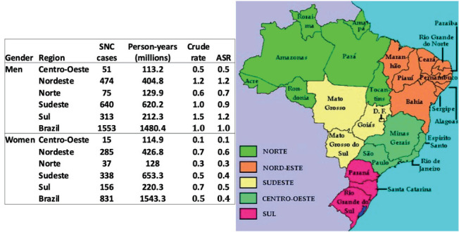 Sinonasal Cancer Cases in a Nationwide Hospital Cancer Registry in Brazil, 2007-2021.