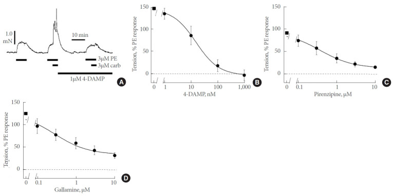 Adreno-Muscarinic Synergy of Contractile Responses From Human Hyperplastic Prostate.