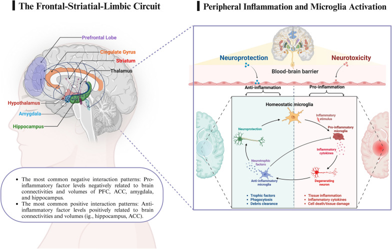 Correlations between multimodal neuroimaging and peripheral inflammation in different subtypes and mood states of bipolar disorder: a systematic review.