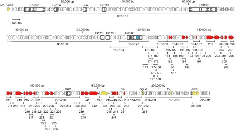 A comprehensive list of genes required for the efficient conjugation of plasmid Rts1 was determined by systematic deletion analysis.