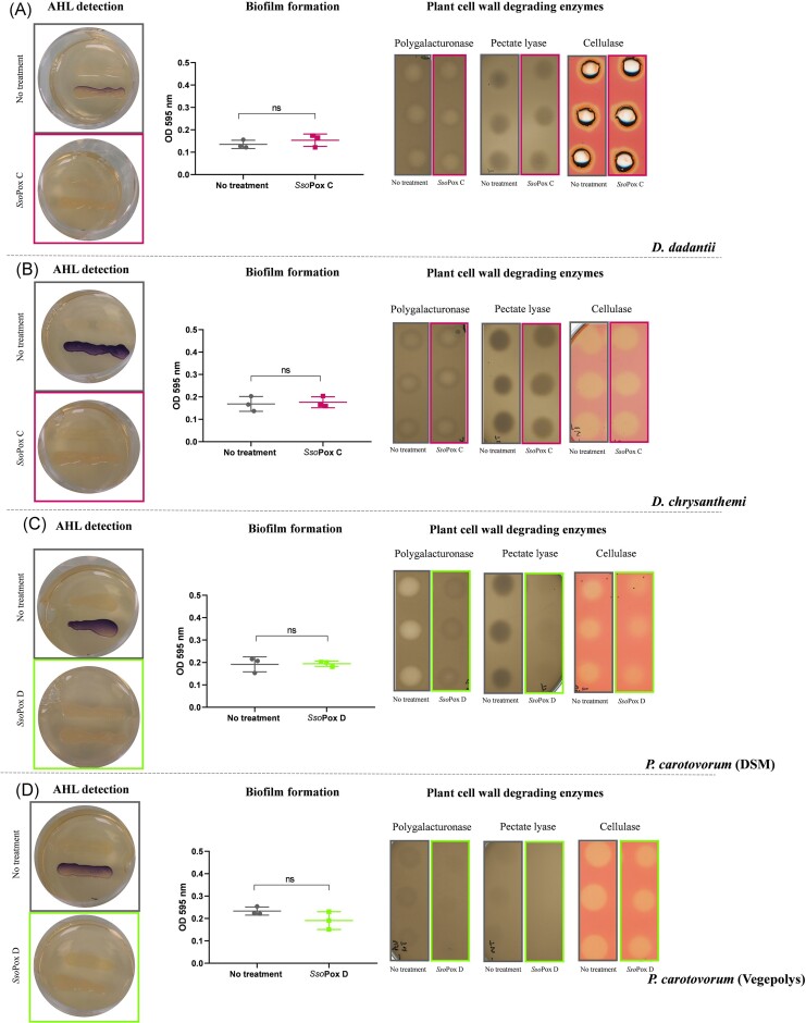 Disrupting quorum sensing as a strategy to inhibit bacterial virulence in human, animal, and plant pathogens.