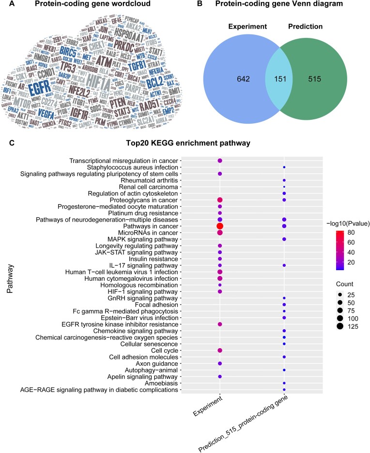 dbCRAF: a curated knowledgebase for regulation of radiation response in human cancer.