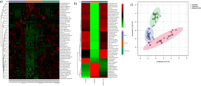 Exploring the novel duo of Reticulocalbin, and Sideroflexin as future biomarker candidates for Exacerbated Chronic Obstructive Pulmonary Disease.