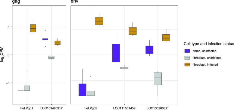 Endogenous feline leukemia virus long terminal repeat integration site diversity is highly variable in related and unrelated domestic cats.