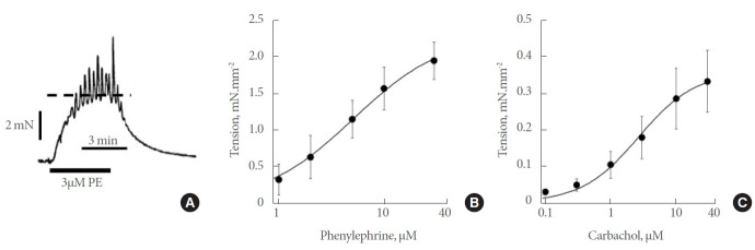 Adreno-Muscarinic Synergy of Contractile Responses From Human Hyperplastic Prostate.