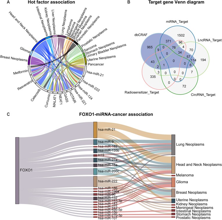 dbCRAF: a curated knowledgebase for regulation of radiation response in human cancer.