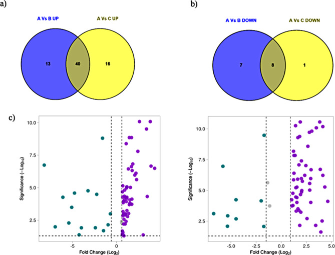 Exploring the novel duo of Reticulocalbin, and Sideroflexin as future biomarker candidates for Exacerbated Chronic Obstructive Pulmonary Disease.