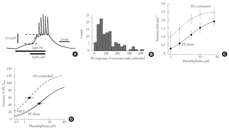 Adreno-Muscarinic Synergy of Contractile Responses From Human Hyperplastic Prostate.