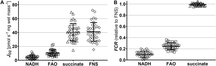 The Predictive Value of Graft Viability and Bioenergetics Testing Towards the Outcome in Liver Transplantation.