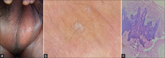 Abstract Image