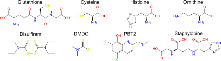 Resisting death by metal: metabolism and Cu/Zn homeostasis in bacteria.