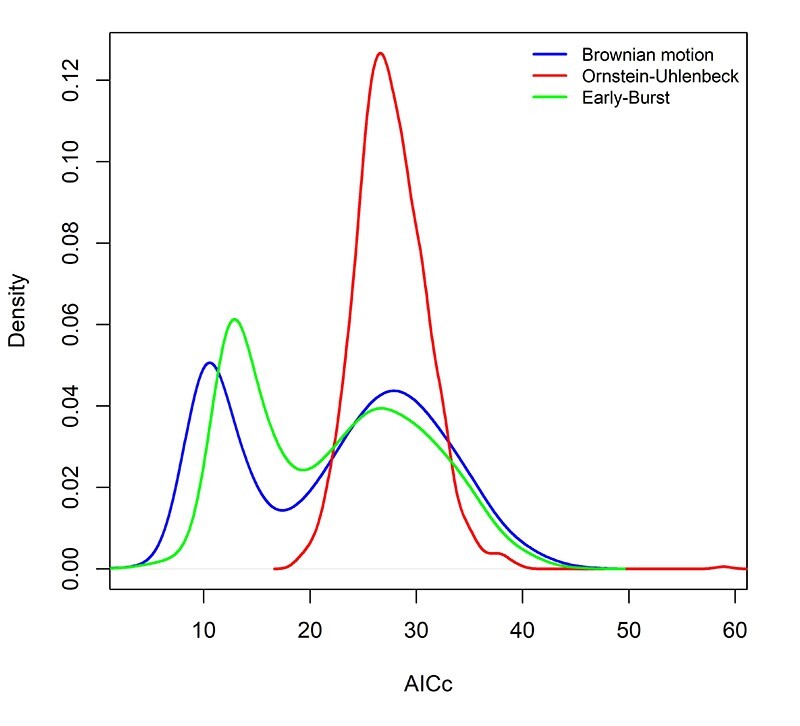 Investigating the evolutionary dynamics of diploid number variation in Ctenomys (Ctenomyidae, Rodentia).
